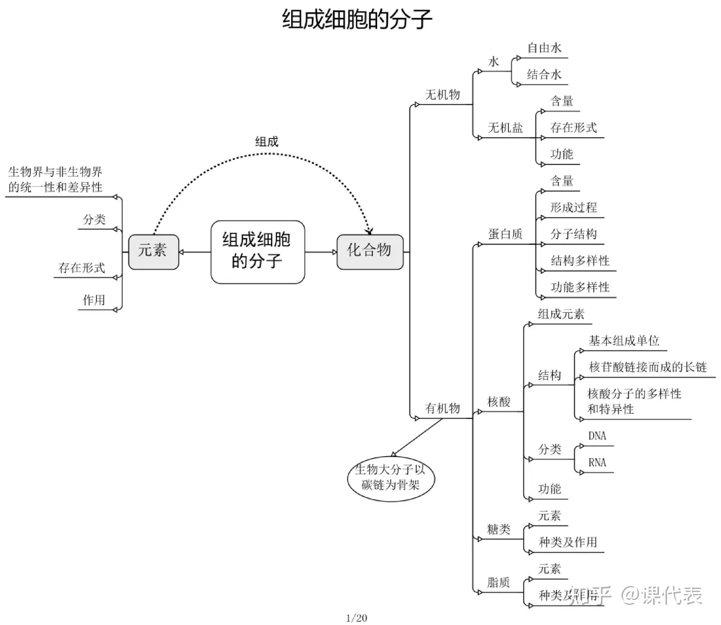 史上最全!高中生物知识思维导图:清北学霸整理,打印一份用三年