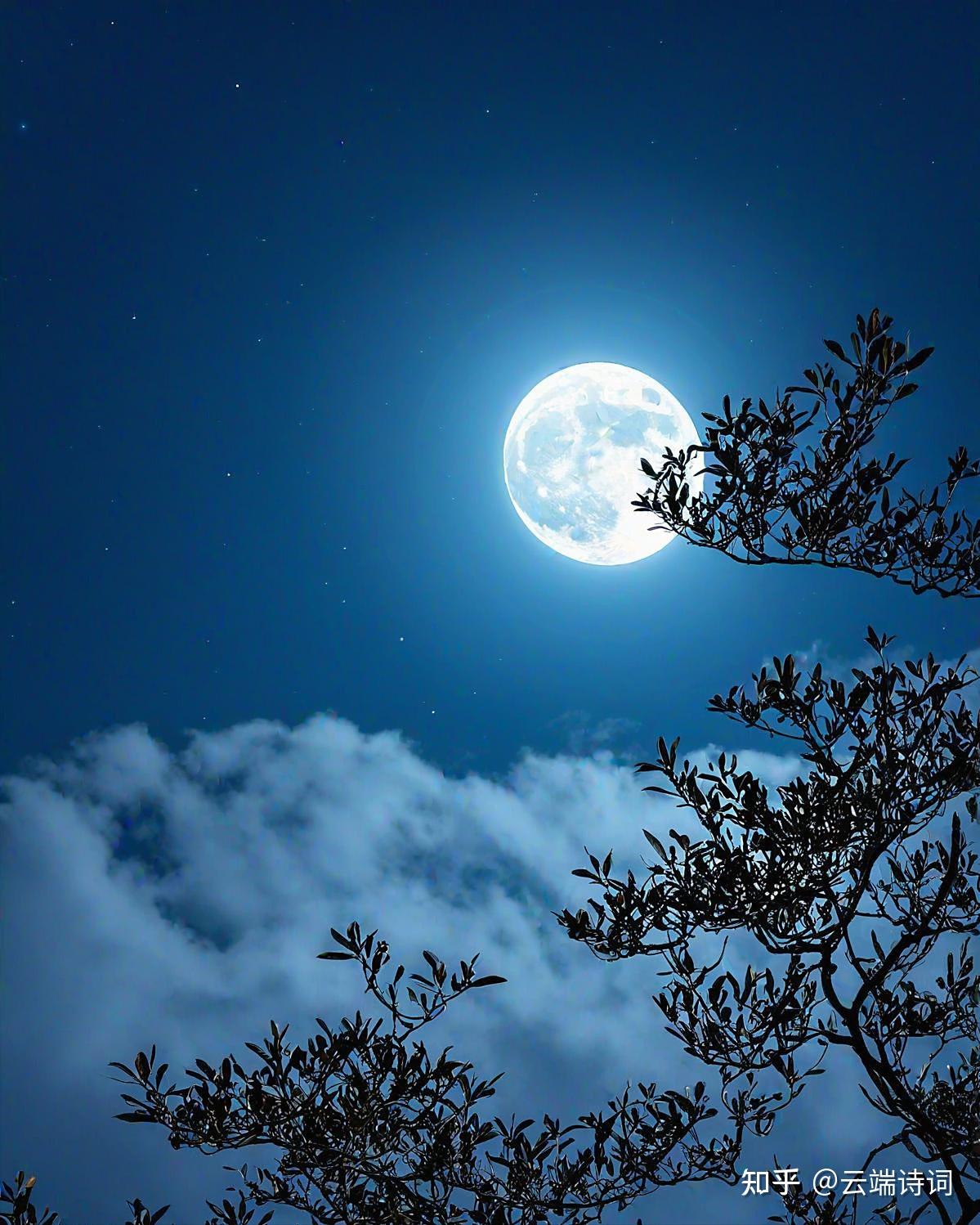 十首唯美的秋夜绝句,月华如水净无尘,千里相思总一心 - 知乎