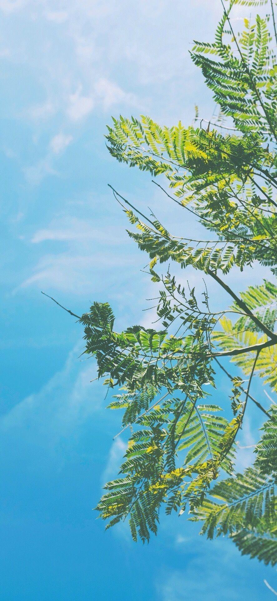 能否给出你最喜欢的一张壁纸? - 知乎