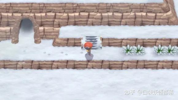 宝可梦晶灿钻石发售日期(《宝可梦晶灿钻石明亮珍珠》一周目图文攻略)  第296张