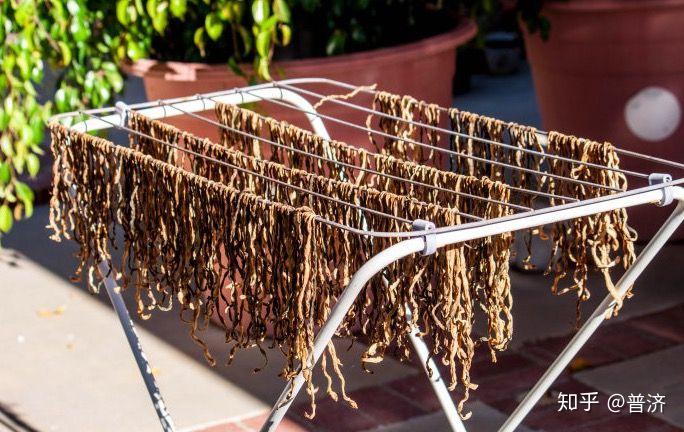 干豆角晒法和做法