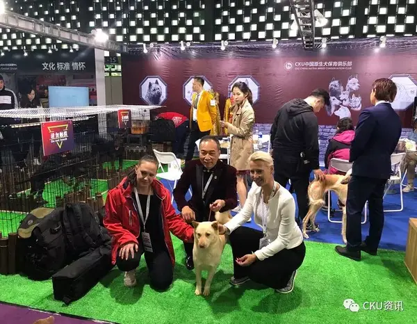 2019年上海世界杯犬展全场总冠军诞生！ - 知乎