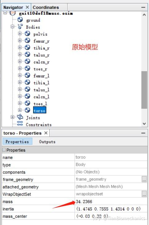 api: opensim::geometry class reference Images High... Opensim 进阶教程-降低代谢成本的仿真设计 - 知乎