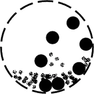 动图