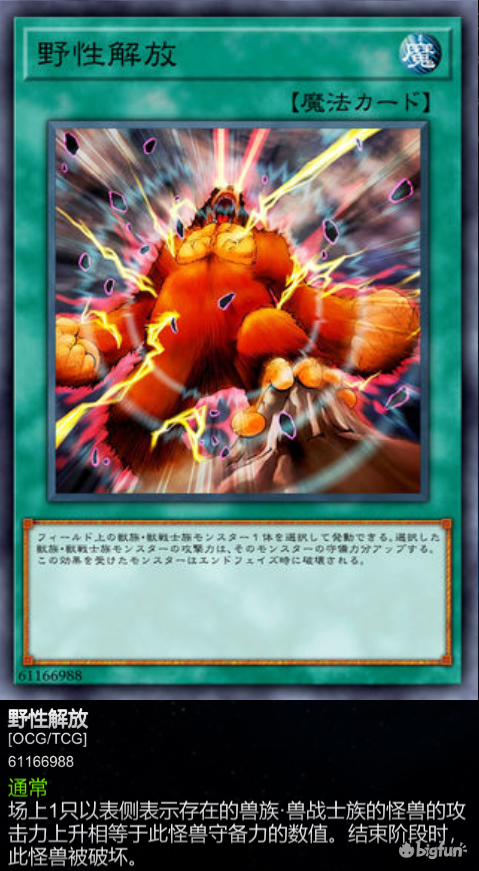 【游戏王:决斗链接】关于萌新及零氪党低氪党入坑小技巧