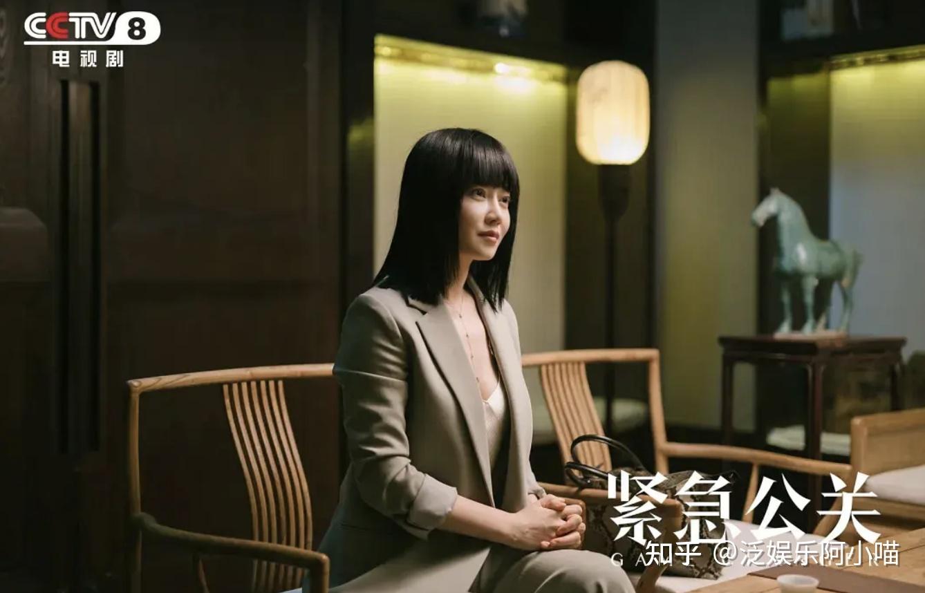 如何评价由黄晓明主演的社会公关剧紧急公关原名危机先生