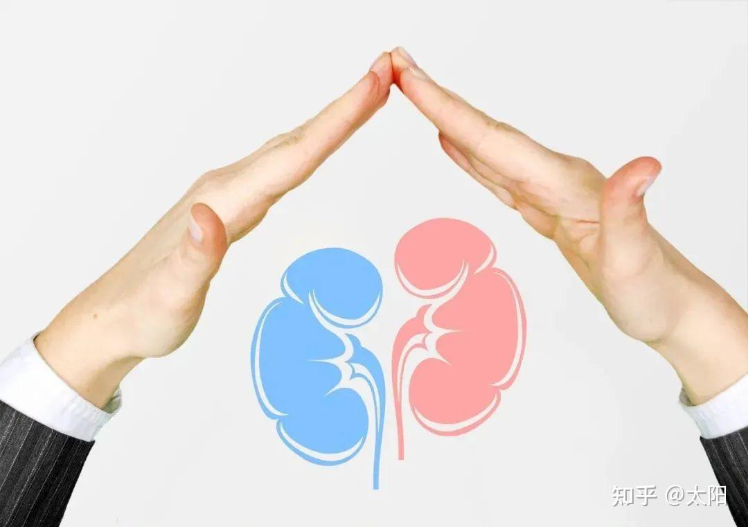 肾虚的16个表现，你有吗？ - 知乎