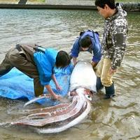 灼热by周防killer