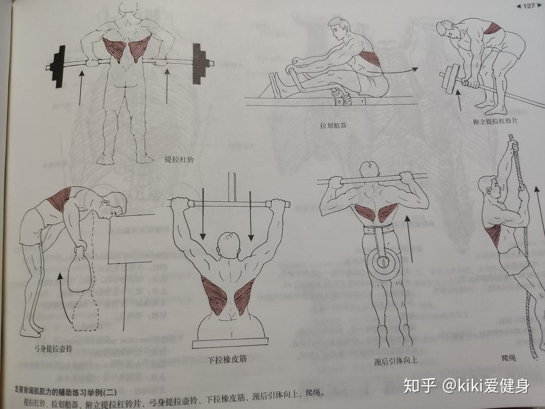 二,健身理論類