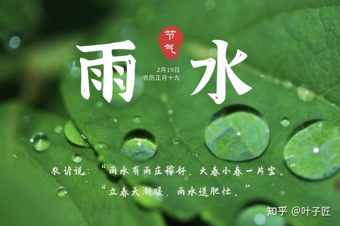 2022年雨水问候图片图片