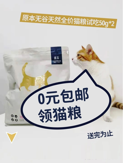 原本宠物 知乎 原本宠物 知乎