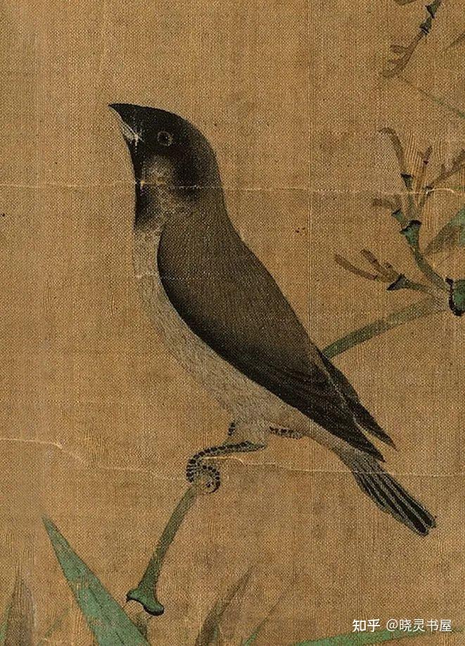 画卷后有宋赵构,元赵孟頫,明朱棡,项元汴,张伯骏,清宋荦,耿昭忠,许维