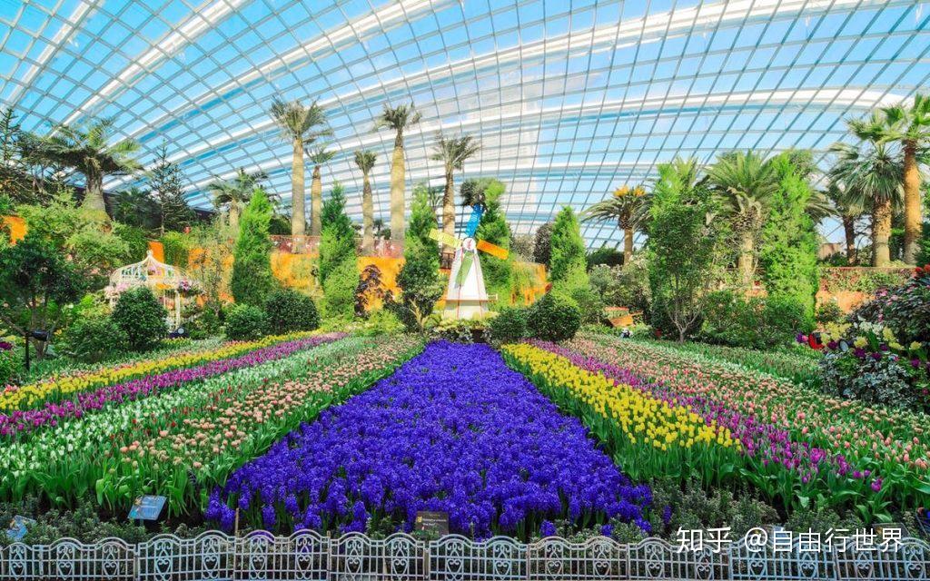 来自未来的花园 - 滨海湾花园 - 知乎