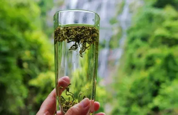 地域帖中国20产茶省谁最独领风骚