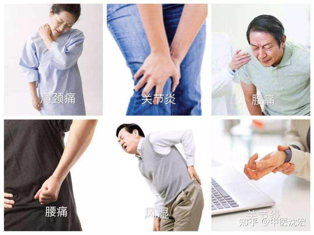 一个名方三痹汤，补肝肾 生气血，除骨中风寒湿，远离关节疼痛麻木 - 知乎