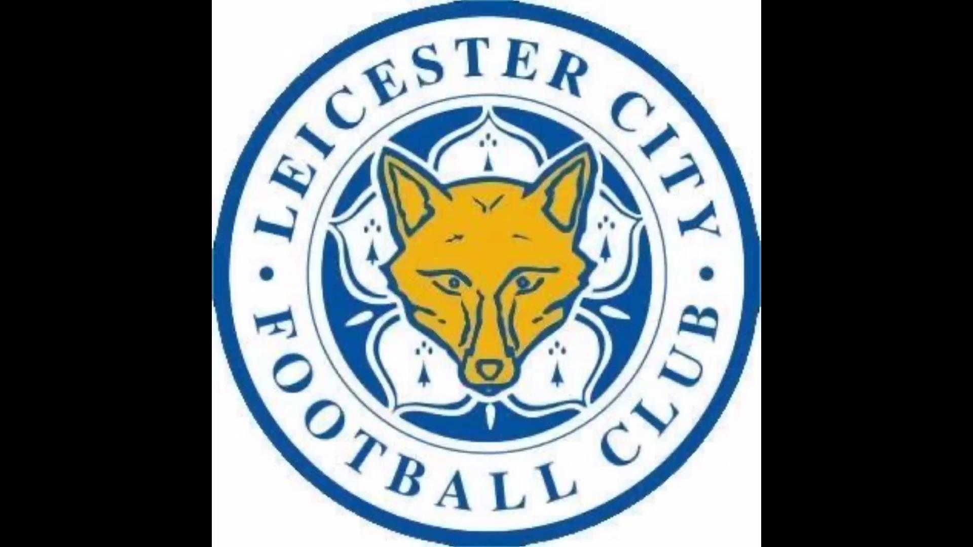 英超:【利兹联 vs 城兴固城】集锦