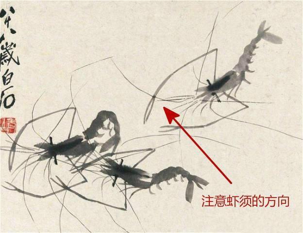 齐白石画虾会做小记号他的孙子齐育文说出秘密假画立马现原形