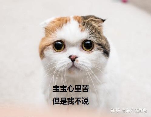 澳洲留学出勤率低被开除那么可以选择这样解决