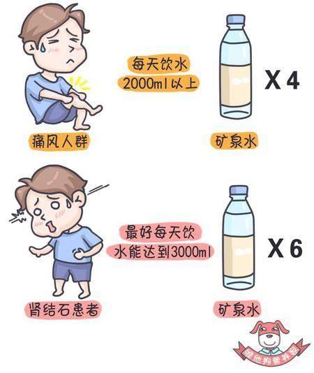 v2-fb4d529bf780dc451a7783e835fb942b_r.jpg