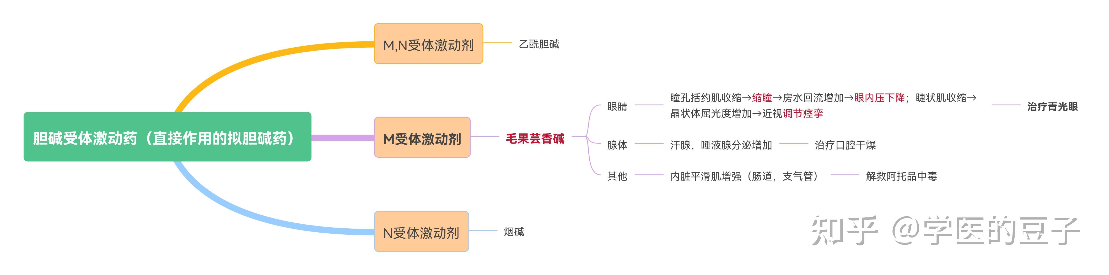 药理学景晴老师版思维导图