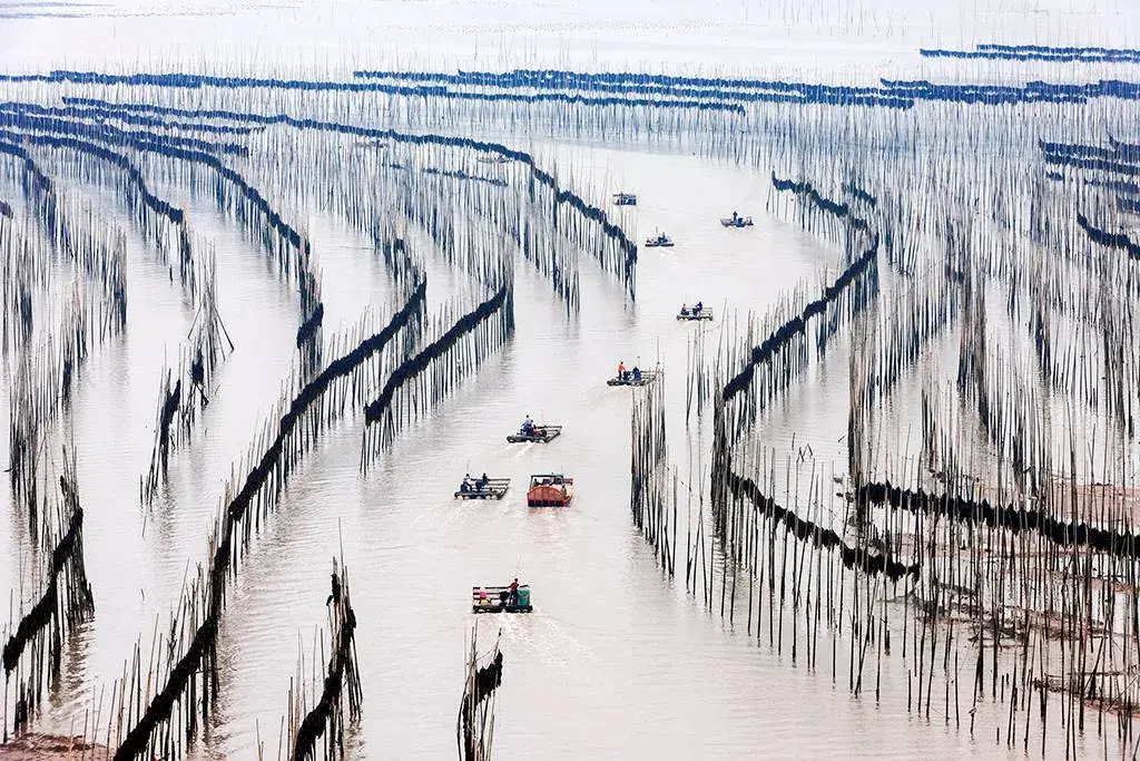 福建土楼舞龙土楼烟花惠安女山腰盐厂浔埔女霞浦滩涂摄影团