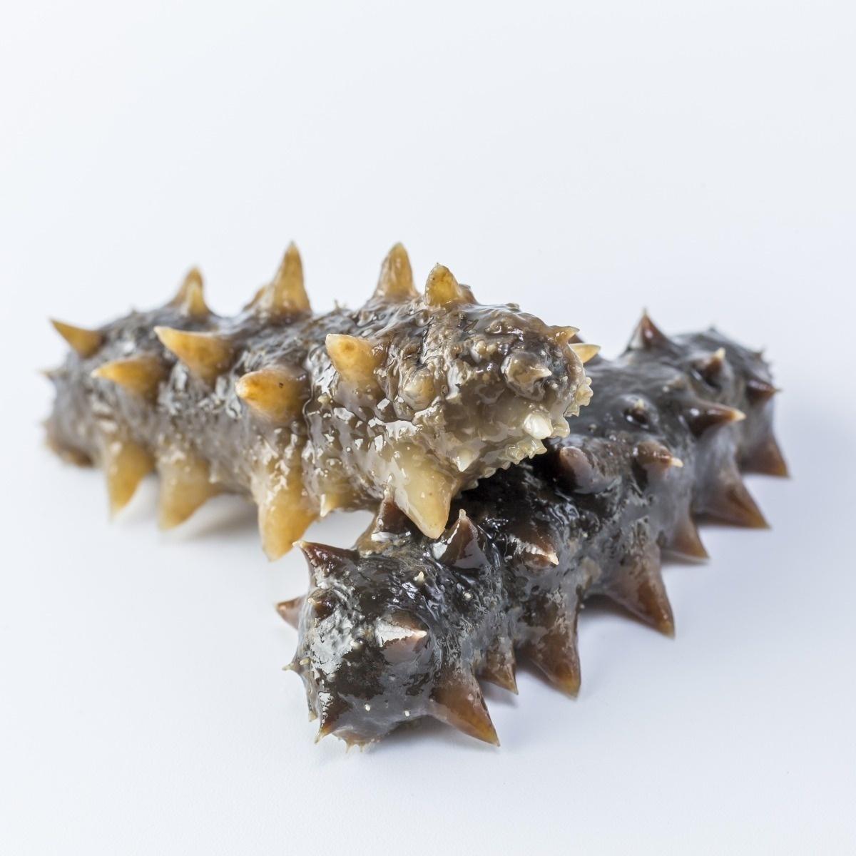 朝阳参告诉你仅凭借对于海参一方面的认知就判断其质量的好坏这样是不