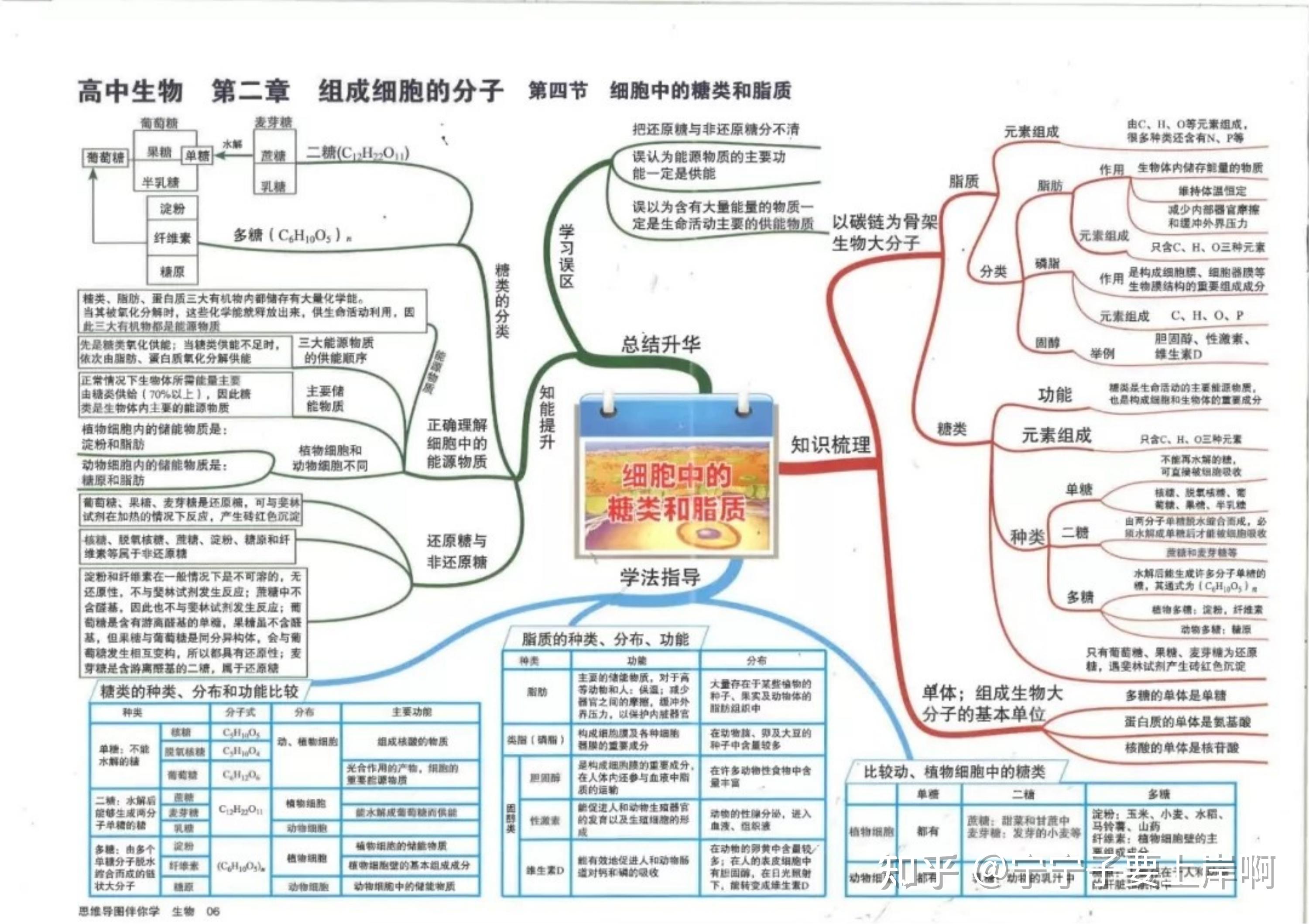 高中生物:史上最全思维导图!