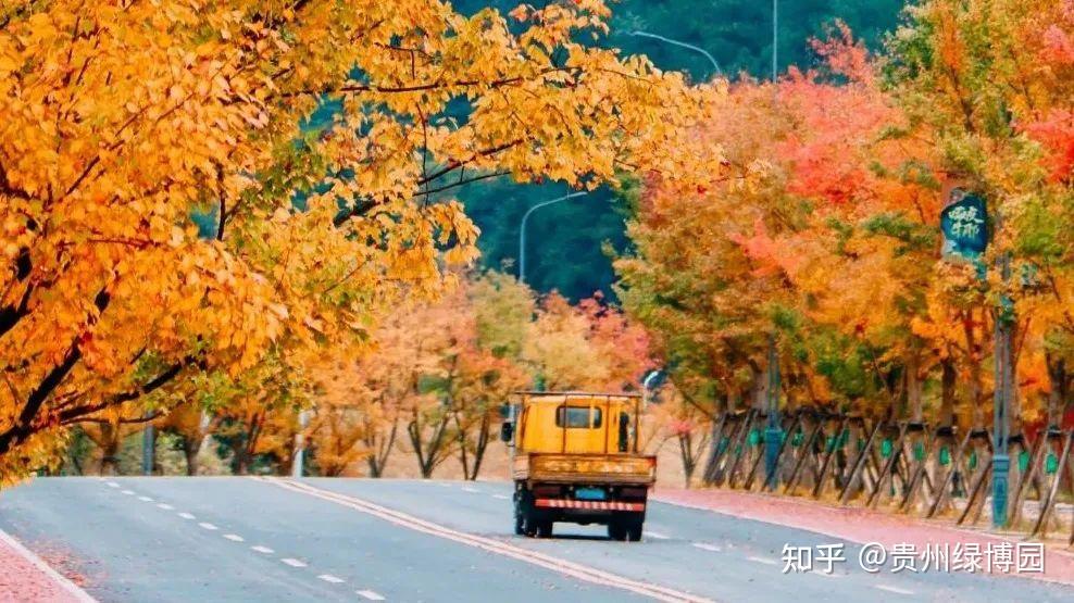 尾款人的酒店福利,99元即可入住都匀台酒店-都匀台酒店招聘