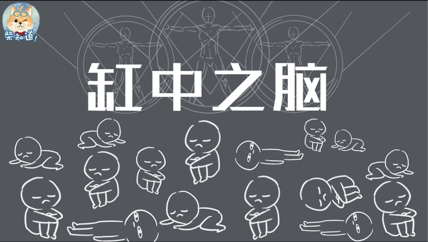 三分钟看懂神级脑洞缸中之脑