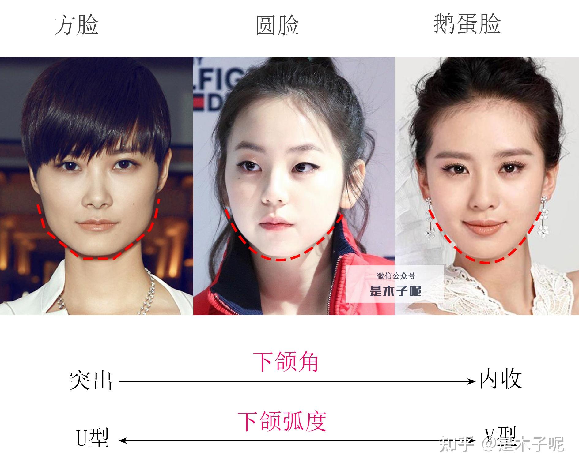 看懂三横一竖,轻松判断你的脸型 - 知乎
