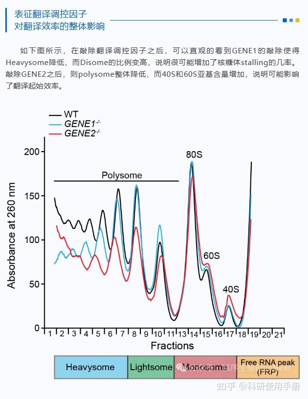 Polysome profiling（多聚核糖体图谱分析）——翻译组学的全局表征 - 知乎