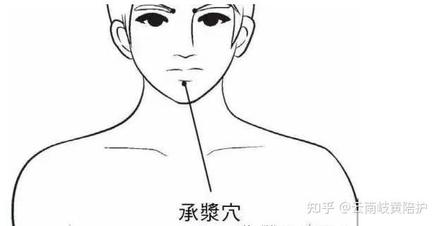 承浆穴:承受你的琼浆玉液,牙龈肿痛、流口水时就找它! - 知乎