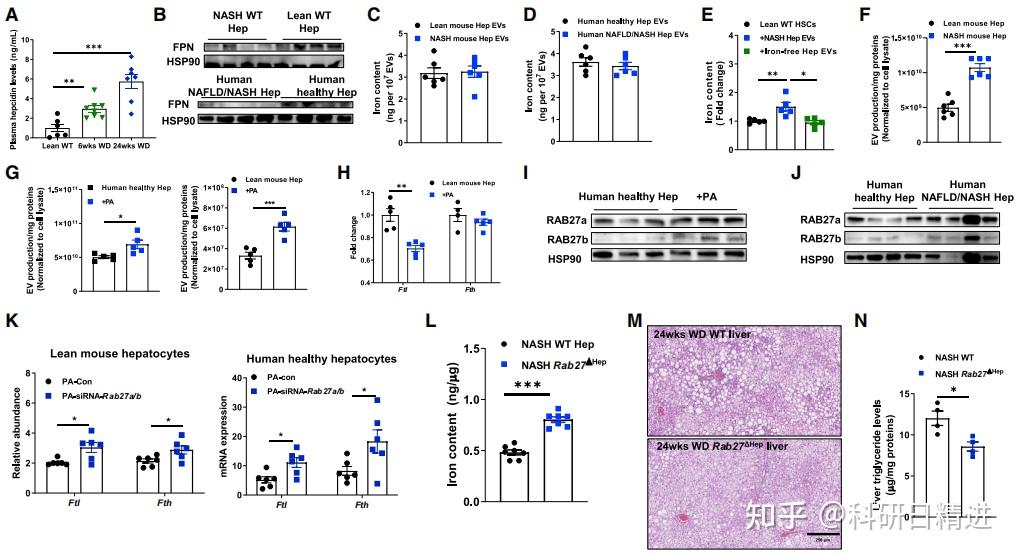 Cell Metabolism丨微量元素与代谢性疾病的研究到底应该怎么做？这篇最新发表的cm文章你不能错过 ！ 知乎