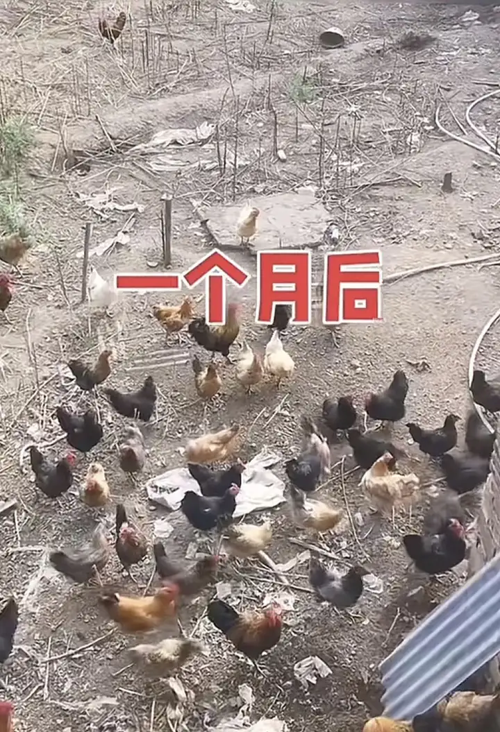 瞎扯 · 如何正确地吐槽