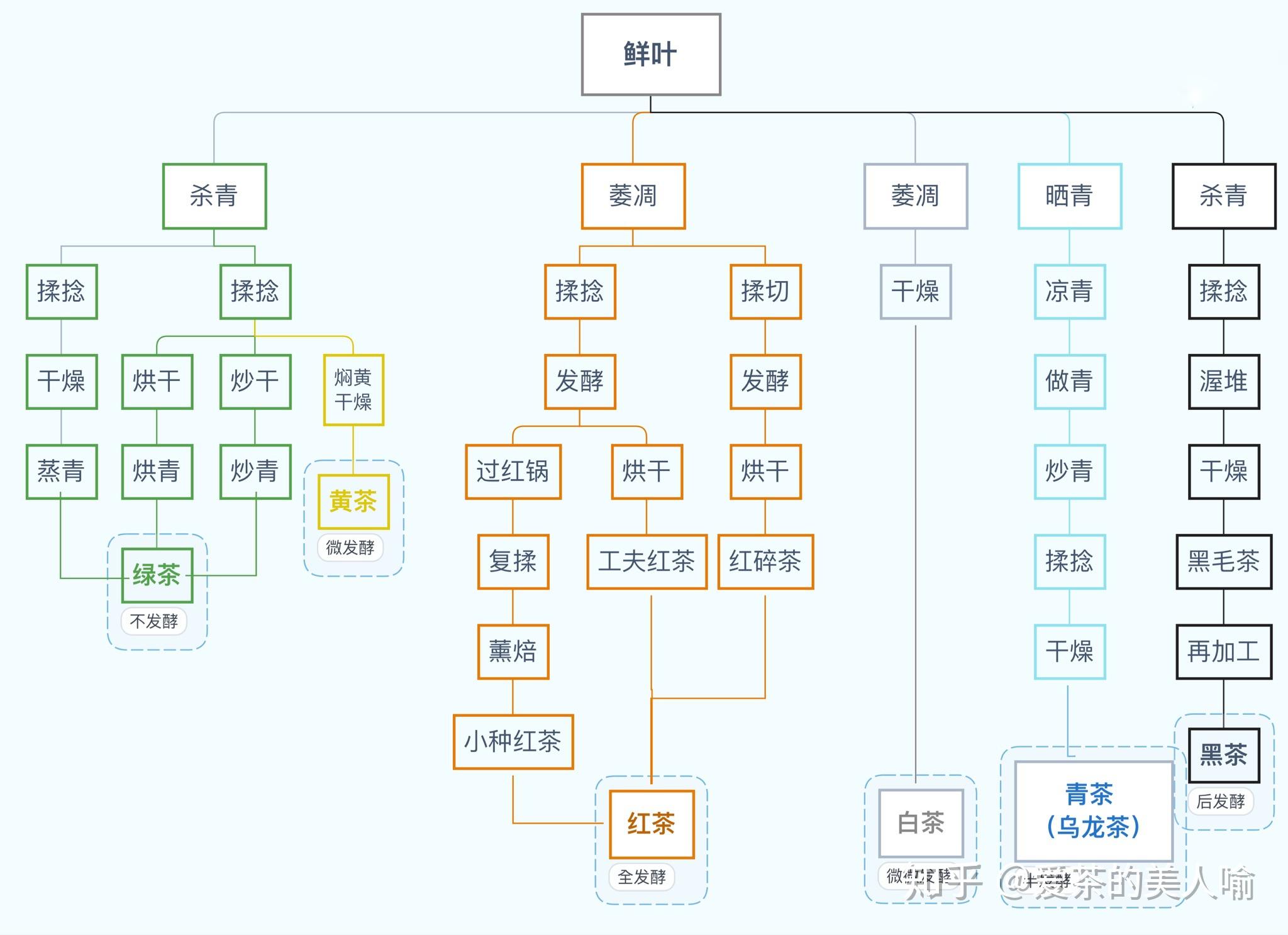 美人聊茶|解密六大茶的加工工艺(建议收藏)