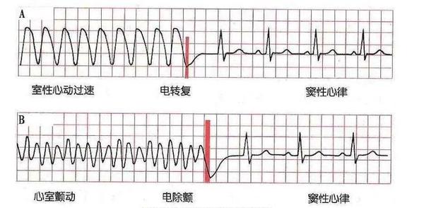 细思极恐的电影推荐