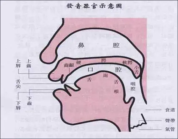 这种音色主要的发声位置在口腔,发出的声音像被扼住了命运的喉咙一样