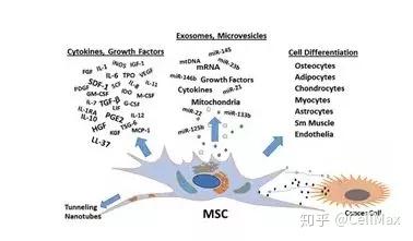 我为勾勾狂