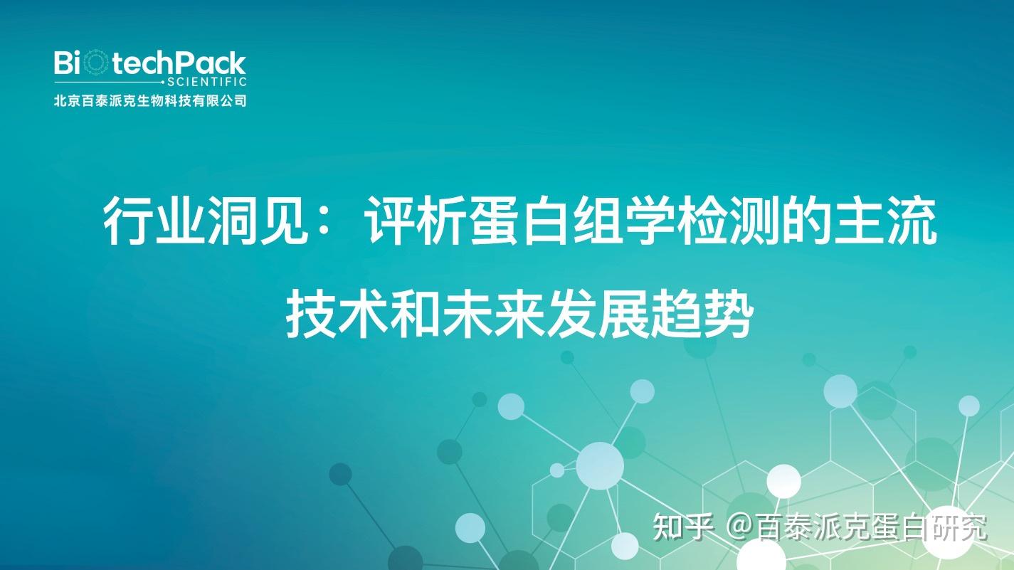 深入评析