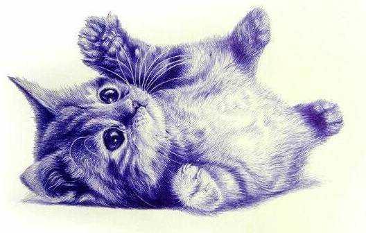 圆珠笔画素描原来这么美,重点是.省钱!