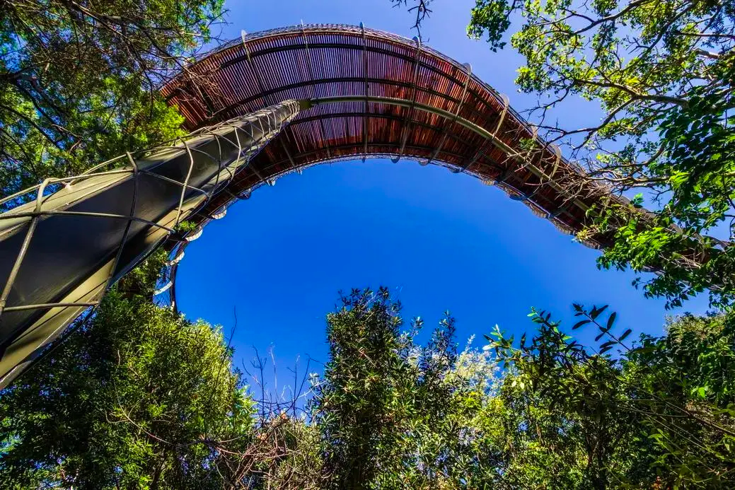 国外景观栈道如何用巧妙设计让人拥有沉浸在云端的体验