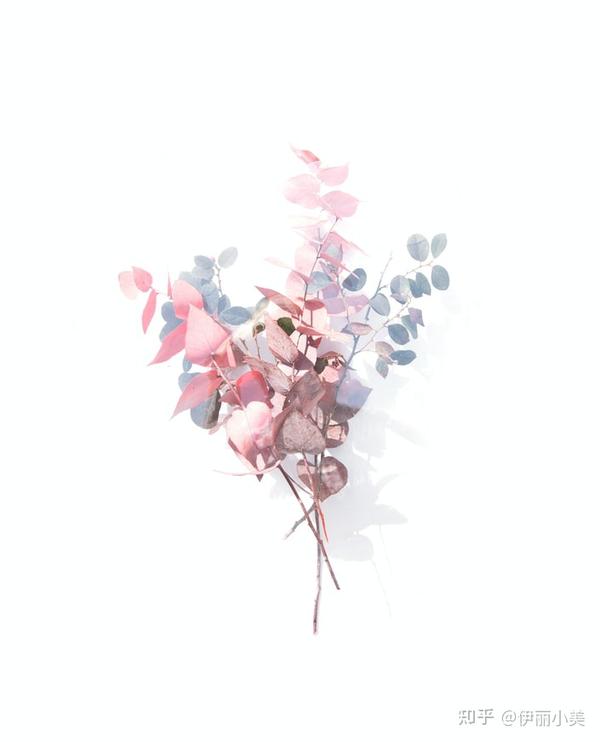 写给infj 当infj遇到infp 知乎