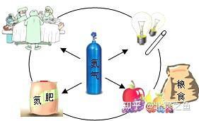 每天认识一种元素【氮,N】 - 知乎