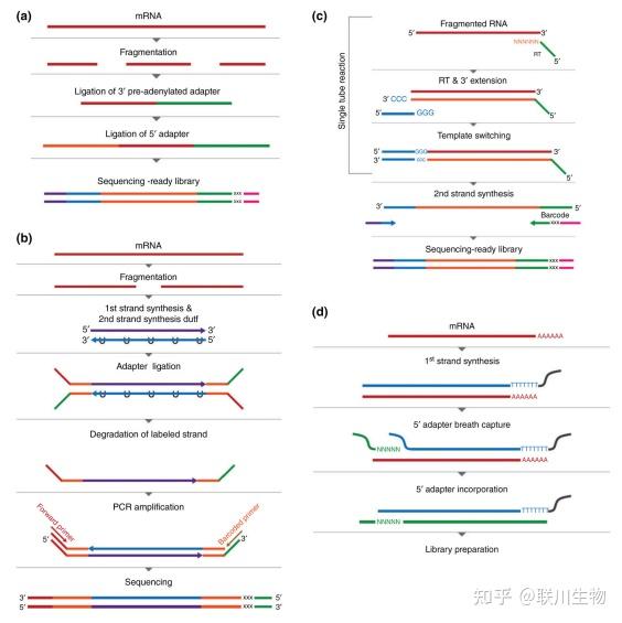 干货|一篇文章带你了解用于转录组分析的RNA-seq方法 - 知乎