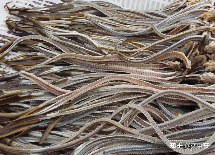 一个机遇让他卖的鳝鱼骨变为宝电商创业故事