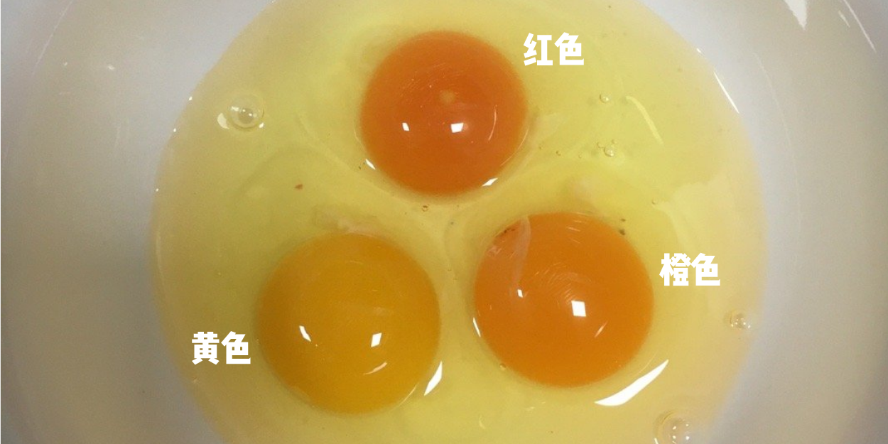 市面鸡蛋蛋黄的颜色,一共分为三种:红,黄,橙.