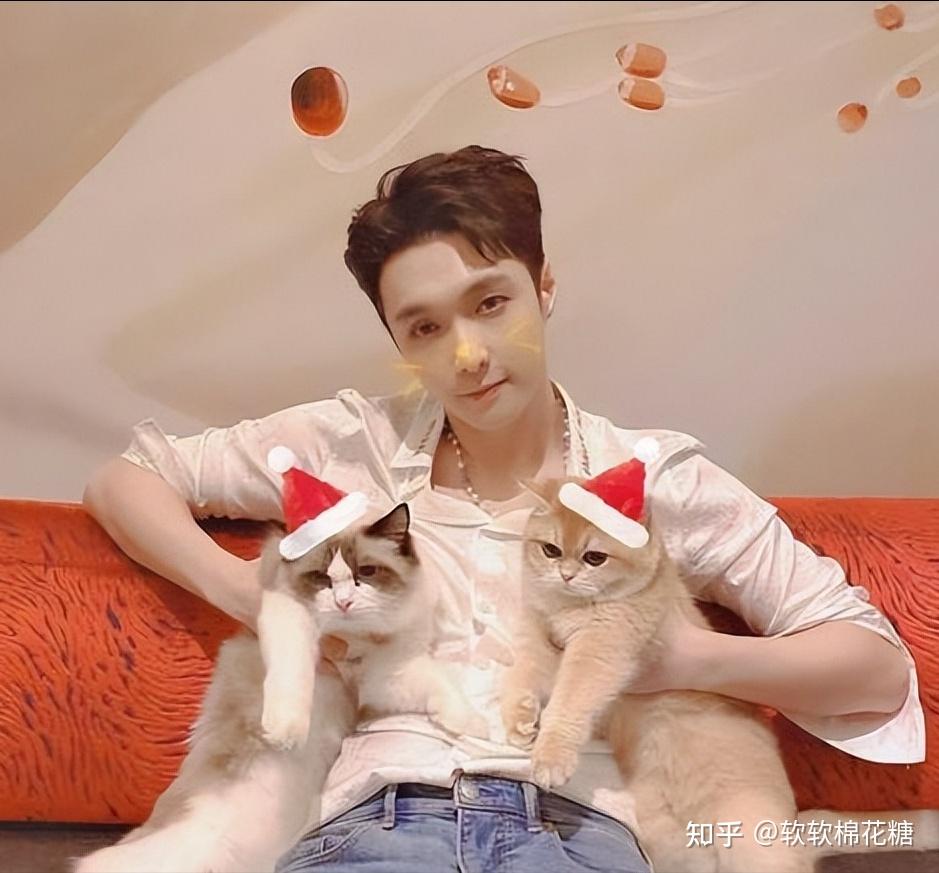 no.4张艺兴——布偶猫