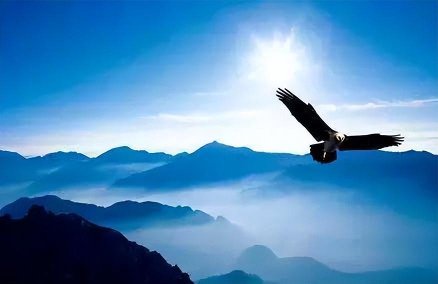 学会了,你也能成为强大的人 - 知乎