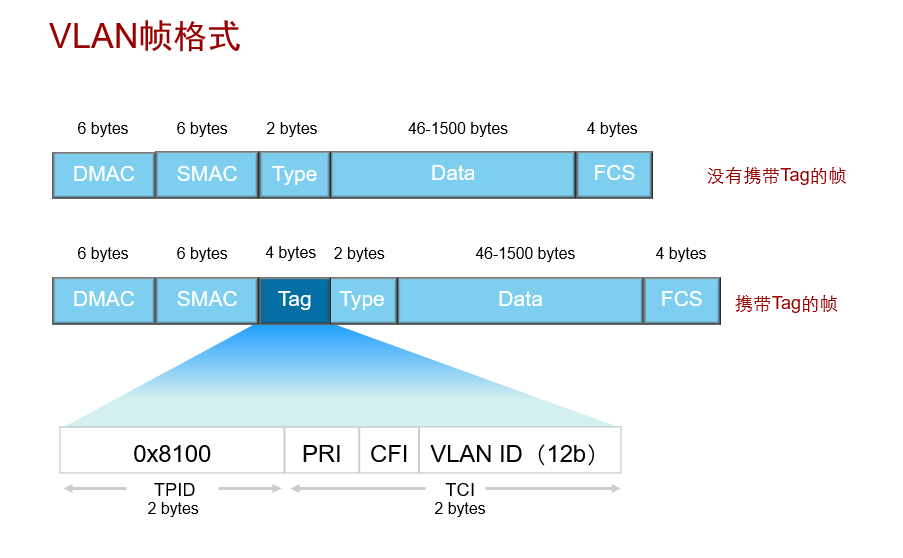 how-do-vlans-work-exploring-the-802-1q-protocol