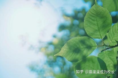 夏季炎热，为何还要“热”着过？ - 知乎